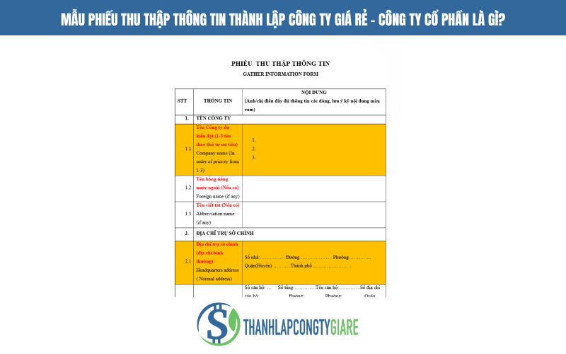 Mẫu phiếu thu thập thông tin thành lập công ty giá rẻ