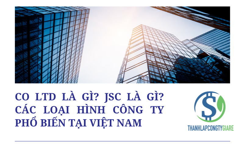 Co Ltd là gì? JSC là gì? Các loại hình công ty phổ biến tại Việt Nam
