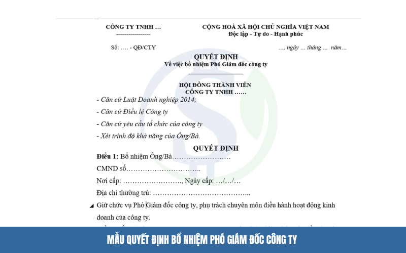 Mẫu quyết định bổ nhiệm phó giám đốc công ty