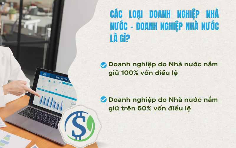 Các loại doanh nghiệp nhà nước - Doanh nghiệp nhà nước là gì?