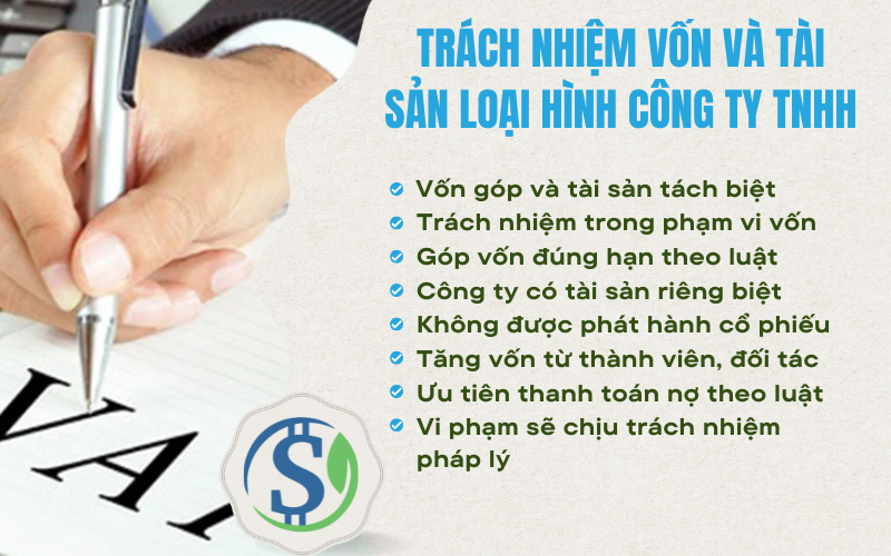 Trách nhiệm vốn và tài sản - Công ty TNHH là gì?