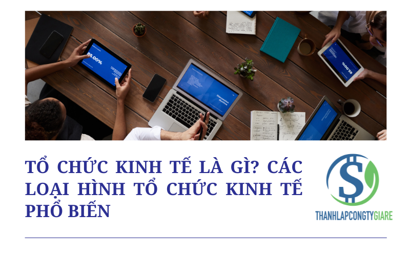 Tổ chức kinh tế là gì? Các loại hình tổ chức kinh tế phổ biến