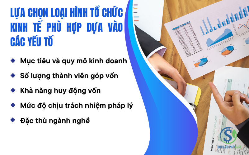 Lựa chọn loại hình tổ chức kinh tế phù hợp dựa vào các yếu tố - tổ chức kinh tế là gì