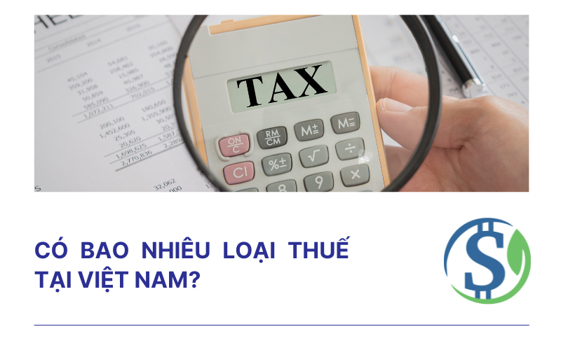 Có bao nhiêu loại thuế tại Việt Nam?