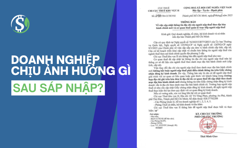 Doanh_nghiep_chiu_anh_huong_gi_sau_sap_nhap