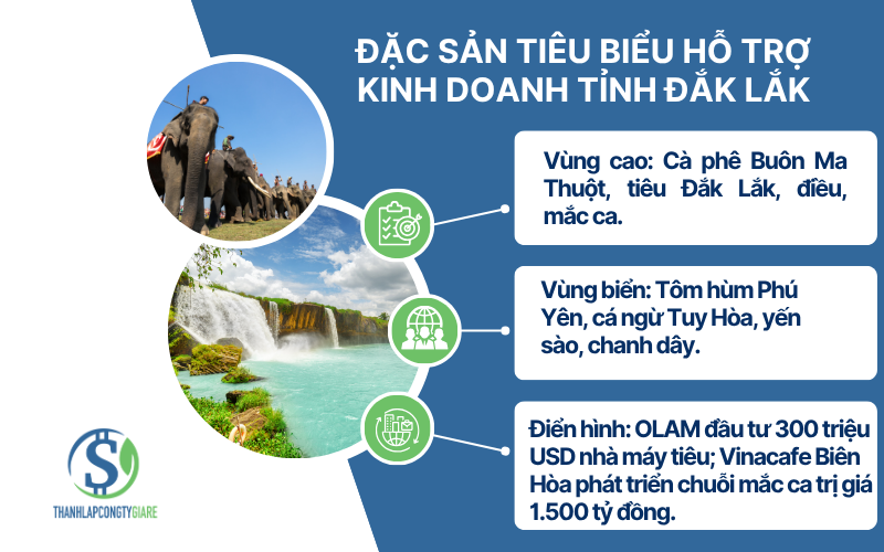 Dac_san_tieu_bieu_ho_tro_kinh_doanh_Tinh_Dak_Lak