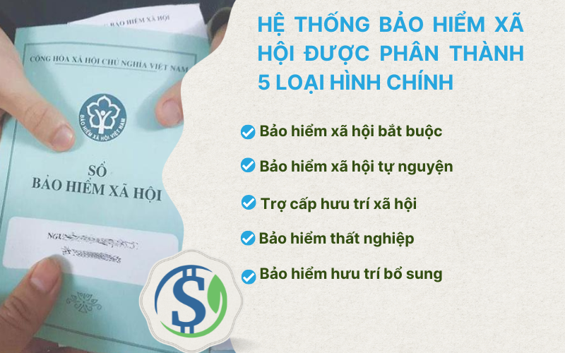 Hệ thống bảo hiểm xã hội được phân thành 5 loại hình chính